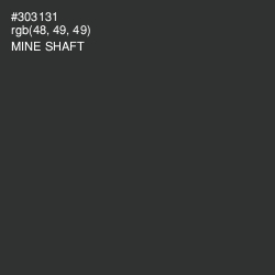 #303131 - Mine Shaft Color Image